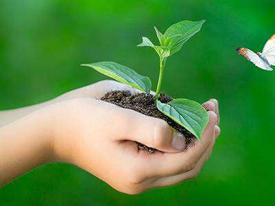 Make the world greenest